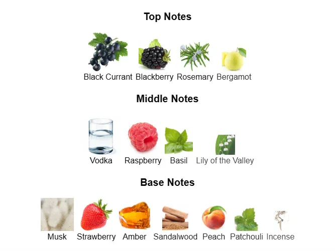 Vulcan Baie EDP for a Bold & Refined Scent - Image 4